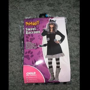 Sweet Raccoon Halloween Costume